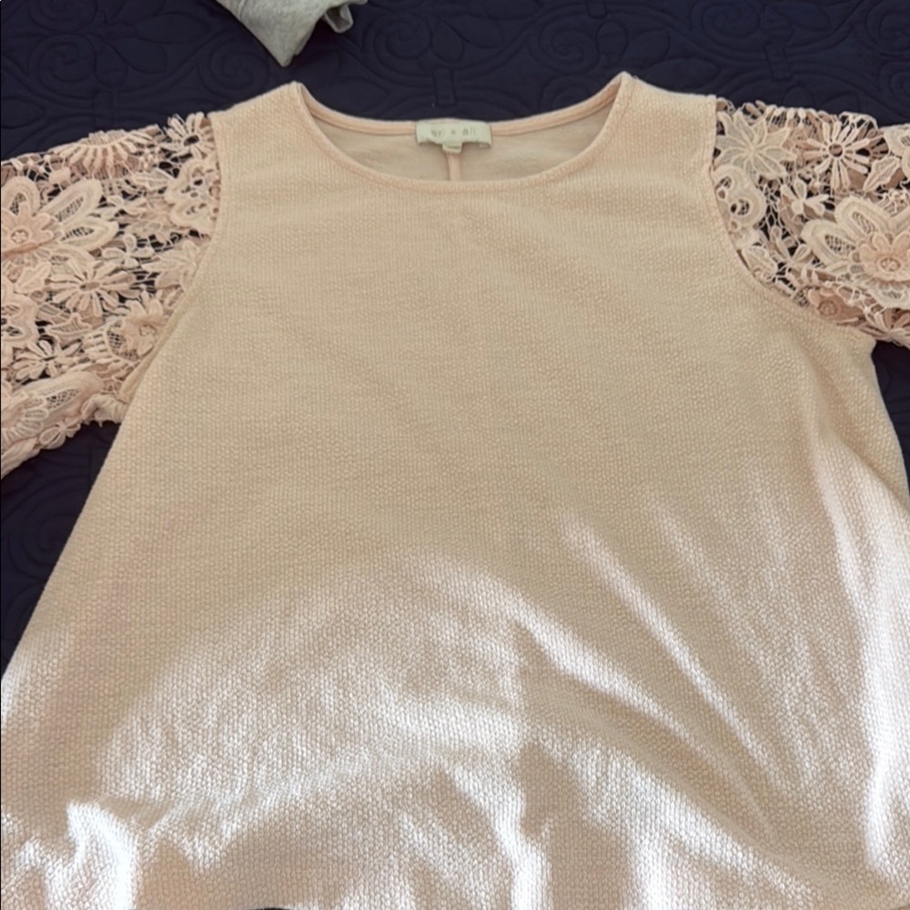 Blush Pink Lace Short Sleeve Blouse